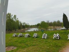 -盐城丹顶鹤湿地生态旅游区