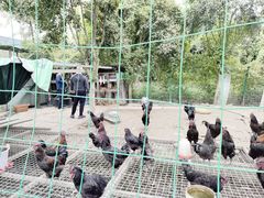 -洪湖家庭农场·团建·露营·会议
