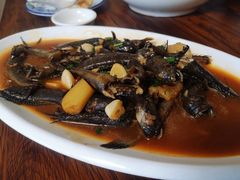 跳跳鱼-杨记海鲜楼