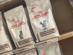 -中农大我爱我爱24h动物医院·中医针灸·猫专科·骨科医疗中心(双井店)