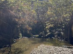 -牛背梁国家森林公园