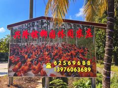 -兴隆槟榔园休闲农庄