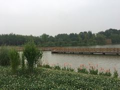 -桤木河湿地公园