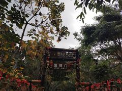 -呀诺达热带雨林