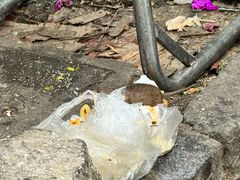 -南门绿玉农贸市场
