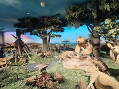 -国家自然博物馆