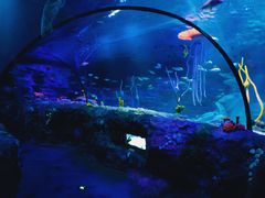 -沈阳海洋探索中心