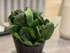 皇帝菜-品也·鲍鱼鸡火锅(皇庭广场店)