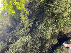 -海口火山口国家地质公园