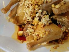 -百利鸽王(紫薇路店)