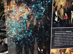 -怀托摩萤火虫洞