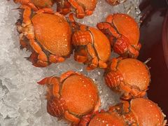 -盛宴标帜餐厅·亲子自助 (南昌喜来登酒店)