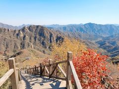 -大岭沟猕猴桃谷风景区