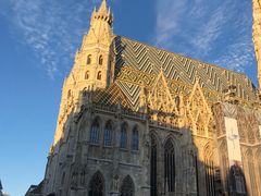 -斯蒂芬主教座堂(Stephansdom)
