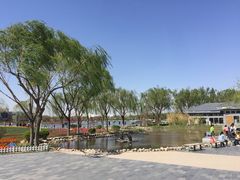 -廊坊文化艺术中心