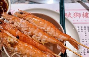 Oriental Prawn