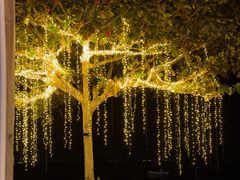 -Baan Ploy Samed Restaurant ร้านอาหารบ้านพลอยเสม็ด