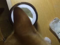 -志龙皇冠吃货椰子铺