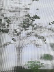 -OAE日式皮肤管理お肌の