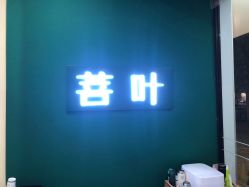 -菩叶脱发白发中心