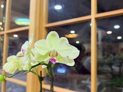 -佛有缘素食馆·荔湾老字号(陈家祠首店)