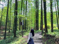 -山王坪喀斯特国家生态公园