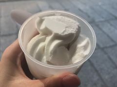 -洪馨椰子