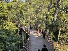 -野象谷景区