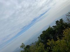 -广州市帽峰山景区