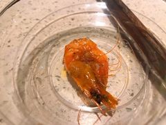 -重庆巴渝火锅(钟家村店)
