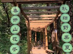 -大岭沟猕猴桃谷风景区