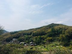 -宁波浙东大竹海景区
