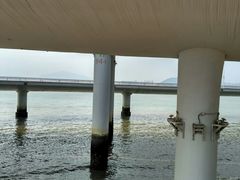 -演武大桥观景平台