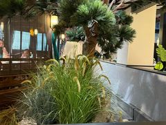 -宋徽厨·安徽菜(安庆绿地店)