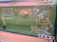 -华声天桥民俗文化园