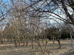 -太阳宫公园