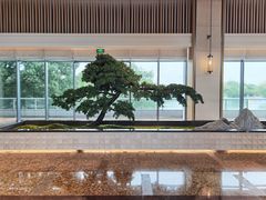 -上海佘山世茂艾美酒店