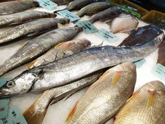 -南山饭店(阳明古镇店)