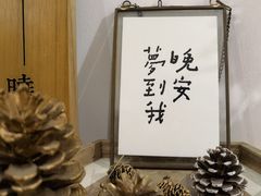 -猫里有甜