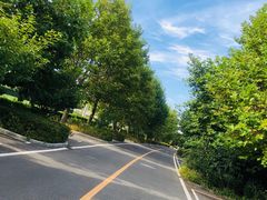 -大连金石滩绿发温泉假日酒店