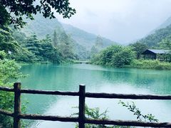 景点-紫云谷景区