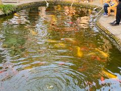 -成飞公园