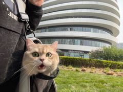 -PETKIT 小佩宠物·德文赛凯猫舍