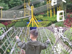 -美的鹭湖探索王国