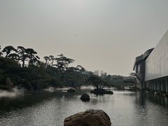 -BLACKSWAN黑天鹅(环球店)