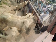 -泉城欧乐堡海洋极地世界