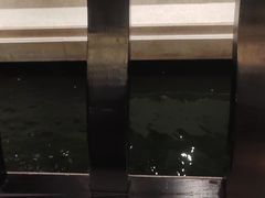 -龙悦湾酒家·八阵鱼生·渔人码头店
