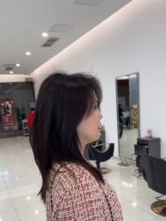 -世田造型
