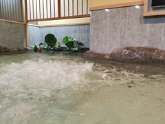 -汤泉良子.足疗按摩.SPA(中关村店)