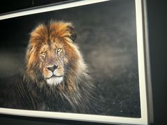 -罗红摄影艺术馆